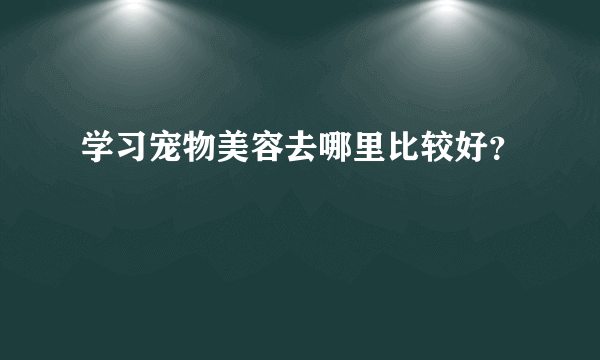 学习宠物美容去哪里比较好？