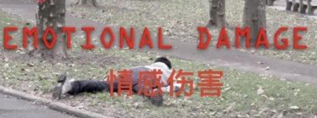 emotionaldamage是什么梗?