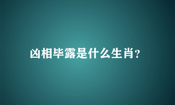 凶相毕露是什么生肖？