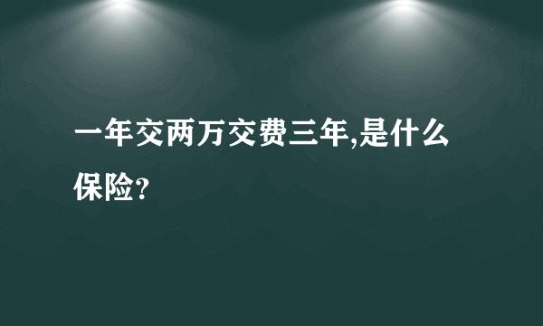 一年交两万交费三年,是什么保险？