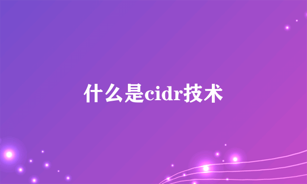 什么是cidr技术