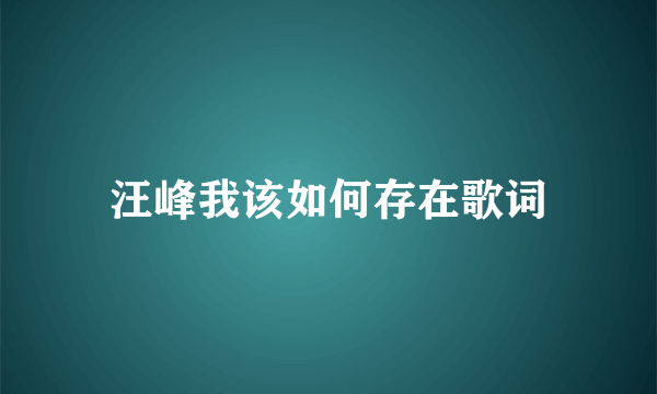 汪峰我该如何存在歌词