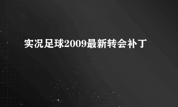 实况足球2009最新转会补丁