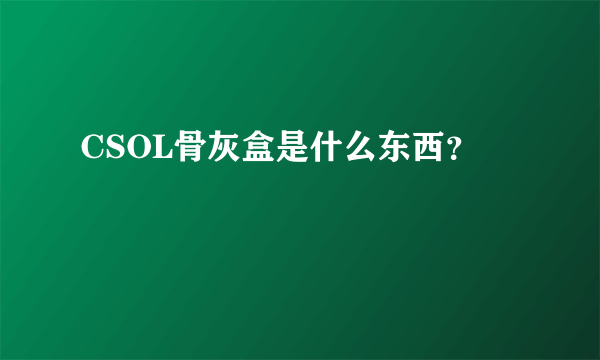 CSOL骨灰盒是什么东西？