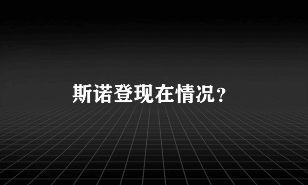 斯诺登现在情况？