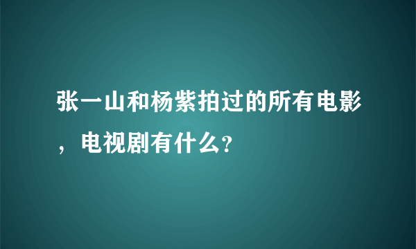 张一山和杨紫拍过的所有电影，电视剧有什么？