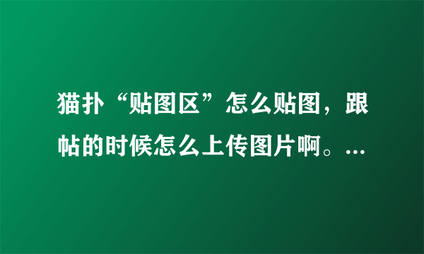 猫扑“贴图区”怎么贴图，跟帖的时候怎么上传图片啊。我有2000MP。