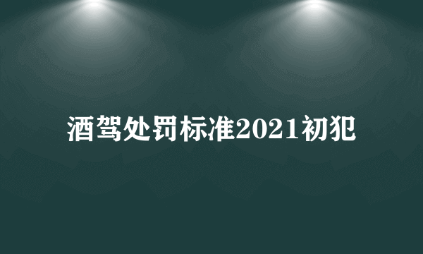 酒驾处罚标准2021初犯