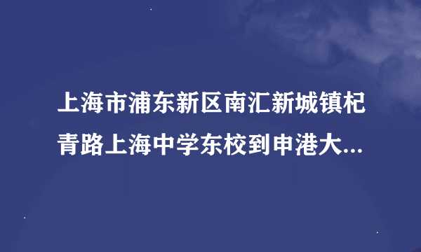 上海市浦东新区南汇新城镇杞青路上海中学东校到申港大道88号怎么走?