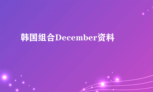 韩国组合December资料