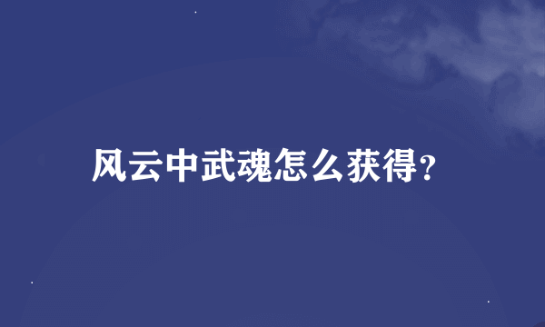 风云中武魂怎么获得？