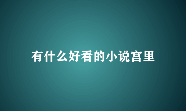 有什么好看的小说宫里