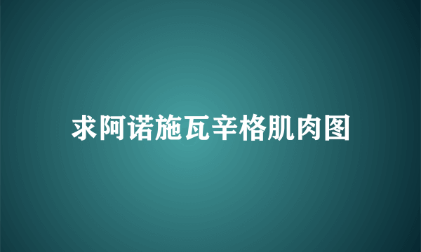 求阿诺施瓦辛格肌肉图