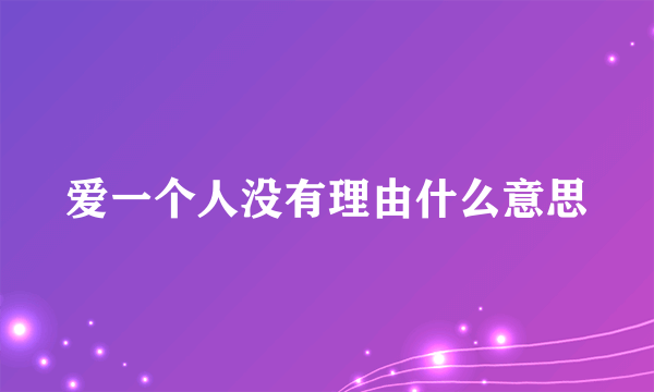 爱一个人没有理由什么意思