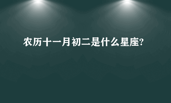 农历十一月初二是什么星座?