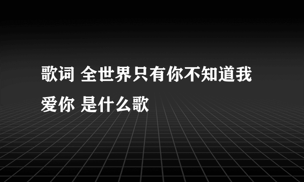 歌词 全世界只有你不知道我爱你 是什么歌