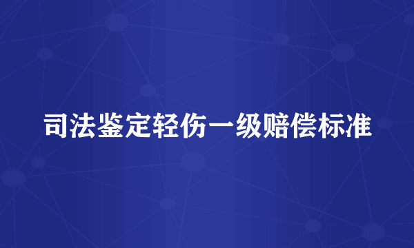 司法鉴定轻伤一级赔偿标准