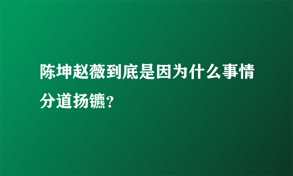 陈坤赵薇到底是因为什么事情分道扬镳？