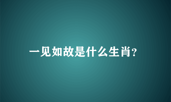 一见如故是什么生肖？