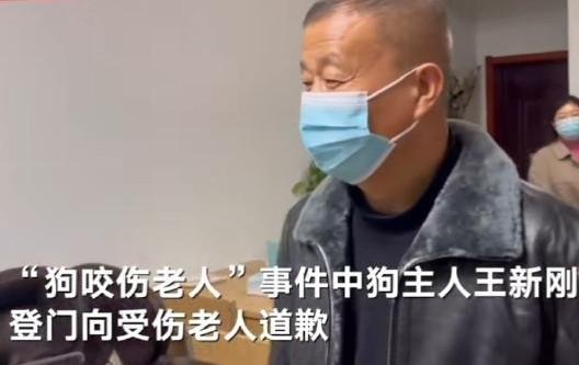 河南安阳狗咬人的事件始末是怎样的？