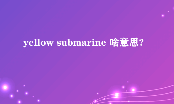 yellow submarine 啥意思?