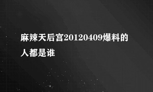 麻辣天后宫20120409爆料的人都是谁