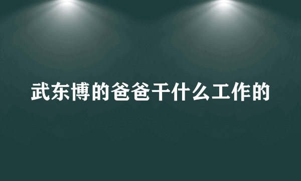 武东博的爸爸干什么工作的