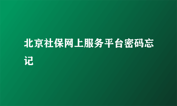 北京社保网上服务平台密码忘记