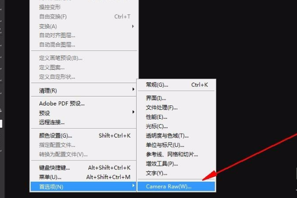 PS中的 Camera Raw 是什么？