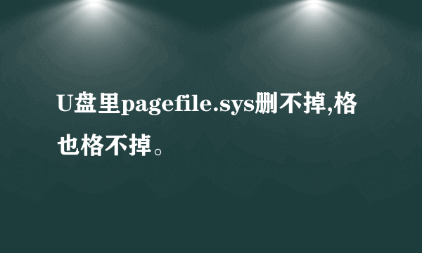 U盘里pagefile.sys删不掉,格也格不掉。