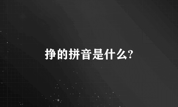 挣的拼音是什么?