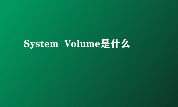 System  Volume是什么