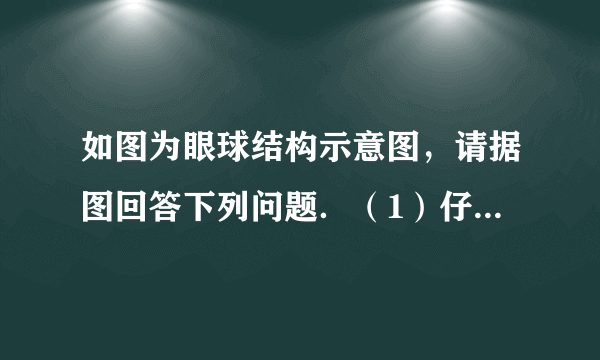 如图为眼球结构示意图，请据图回答下列问题．（1）仔细观察图形，填写下列序号代表的眼球的结构名称．②_