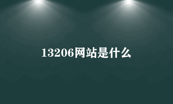 13206网站是什么