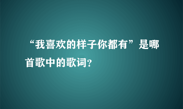 “我喜欢的样子你都有”是哪首歌中的歌词？