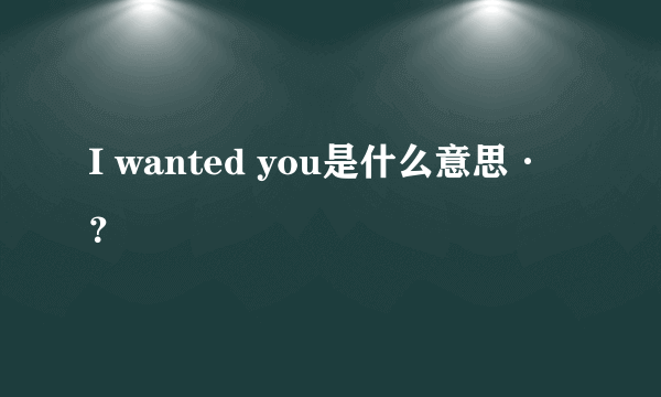 I wanted you是什么意思·？