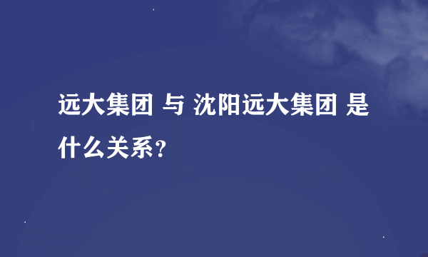 远大集团 与 沈阳远大集团 是什么关系？