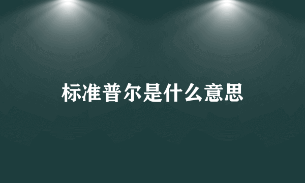 标准普尔是什么意思