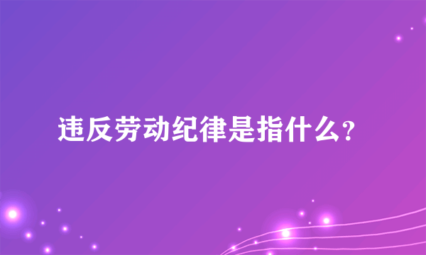 违反劳动纪律是指什么？