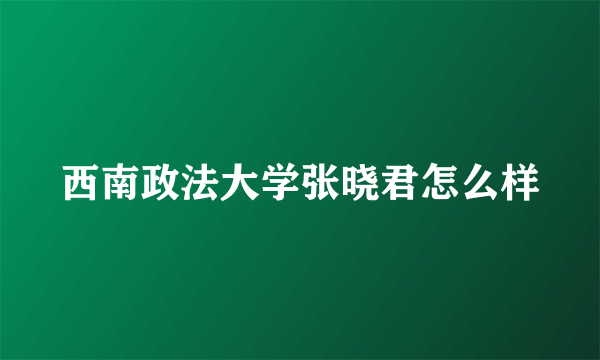 西南政法大学张晓君怎么样