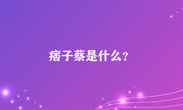 痞子蔡是什么？