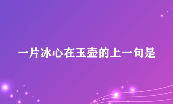 一片冰心在玉壶的上一句是