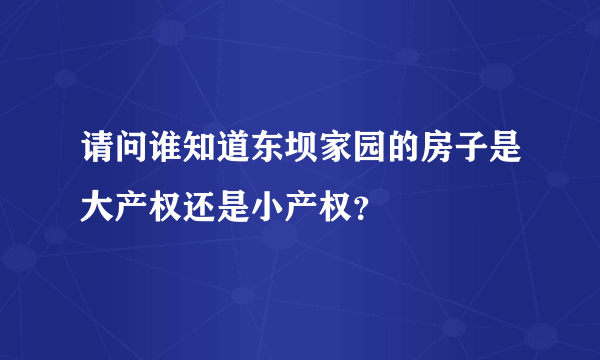 请问谁知道东坝家园的房子是大产权还是小产权？