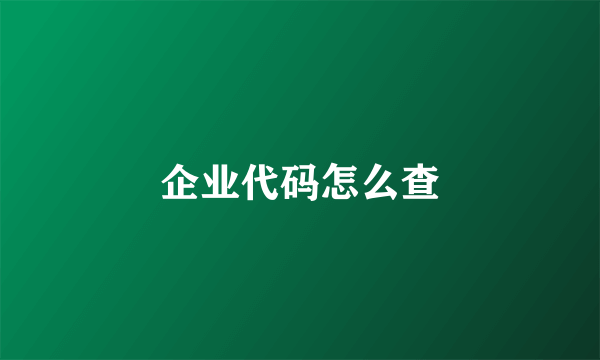 企业代码怎么查