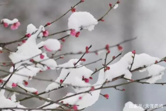 描写雪的古诗句有哪些