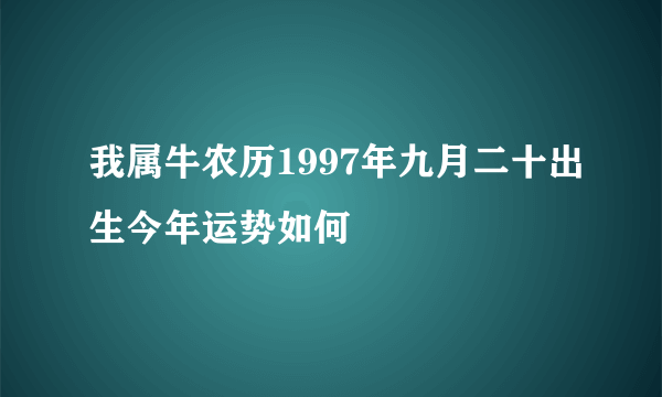 我属牛农历1997年九月二十出生今年运势如何