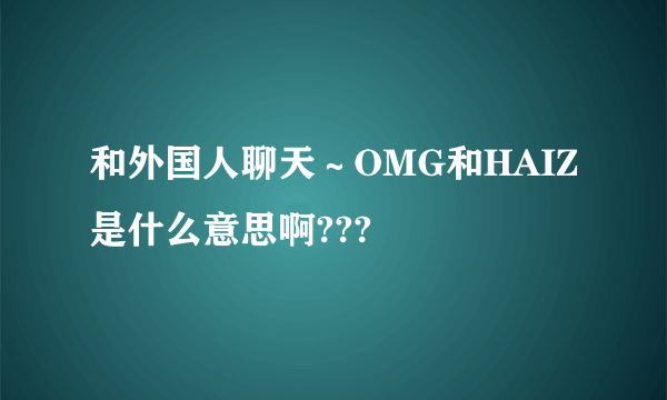 和外国人聊天～OMG和HAIZ是什么意思啊???