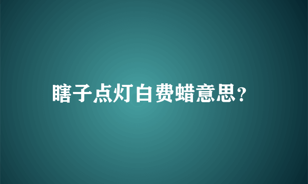 瞎子点灯白费蜡意思？