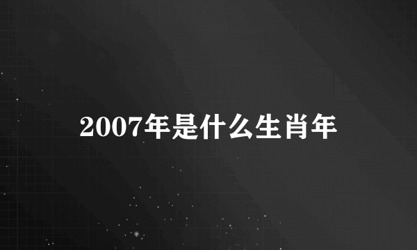 2007年是什么生肖年