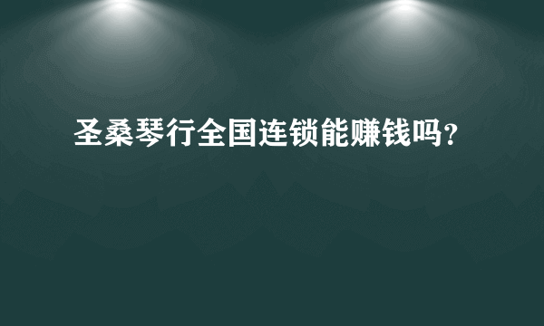 圣桑琴行全国连锁能赚钱吗？